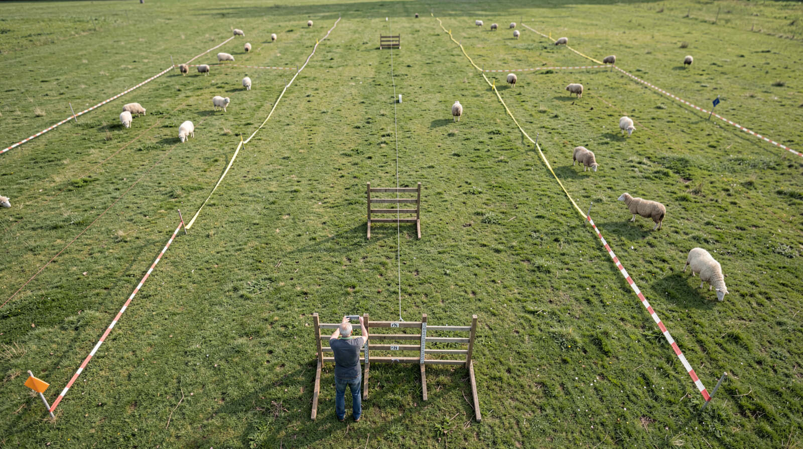 Course Design: The Art and Strategy Behind Trial Fields